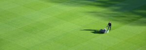 landscaping field