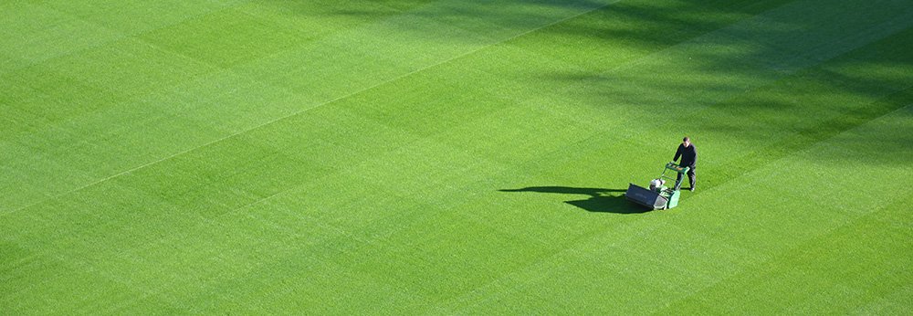 landscaping field